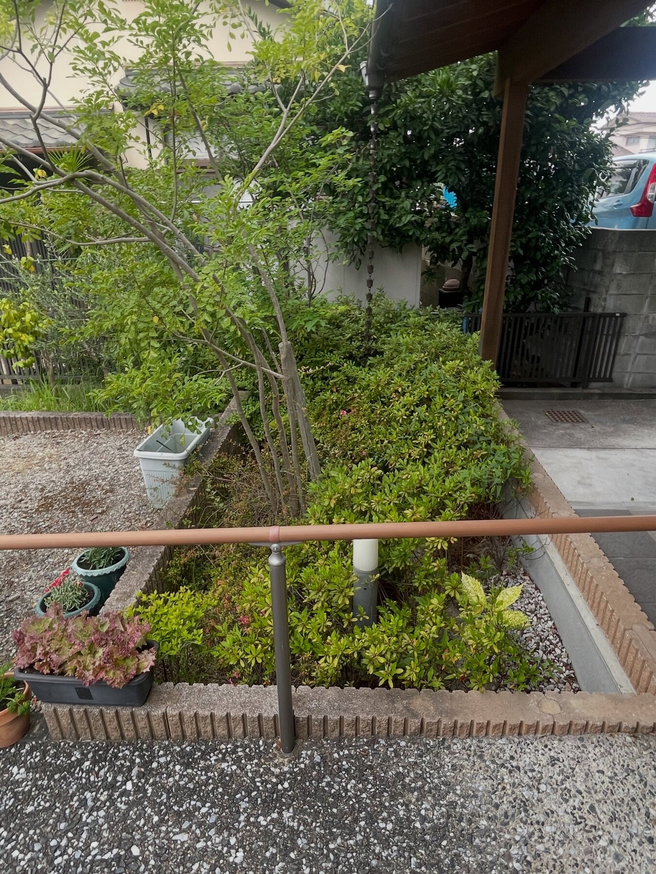 玄関横の植栽スペース