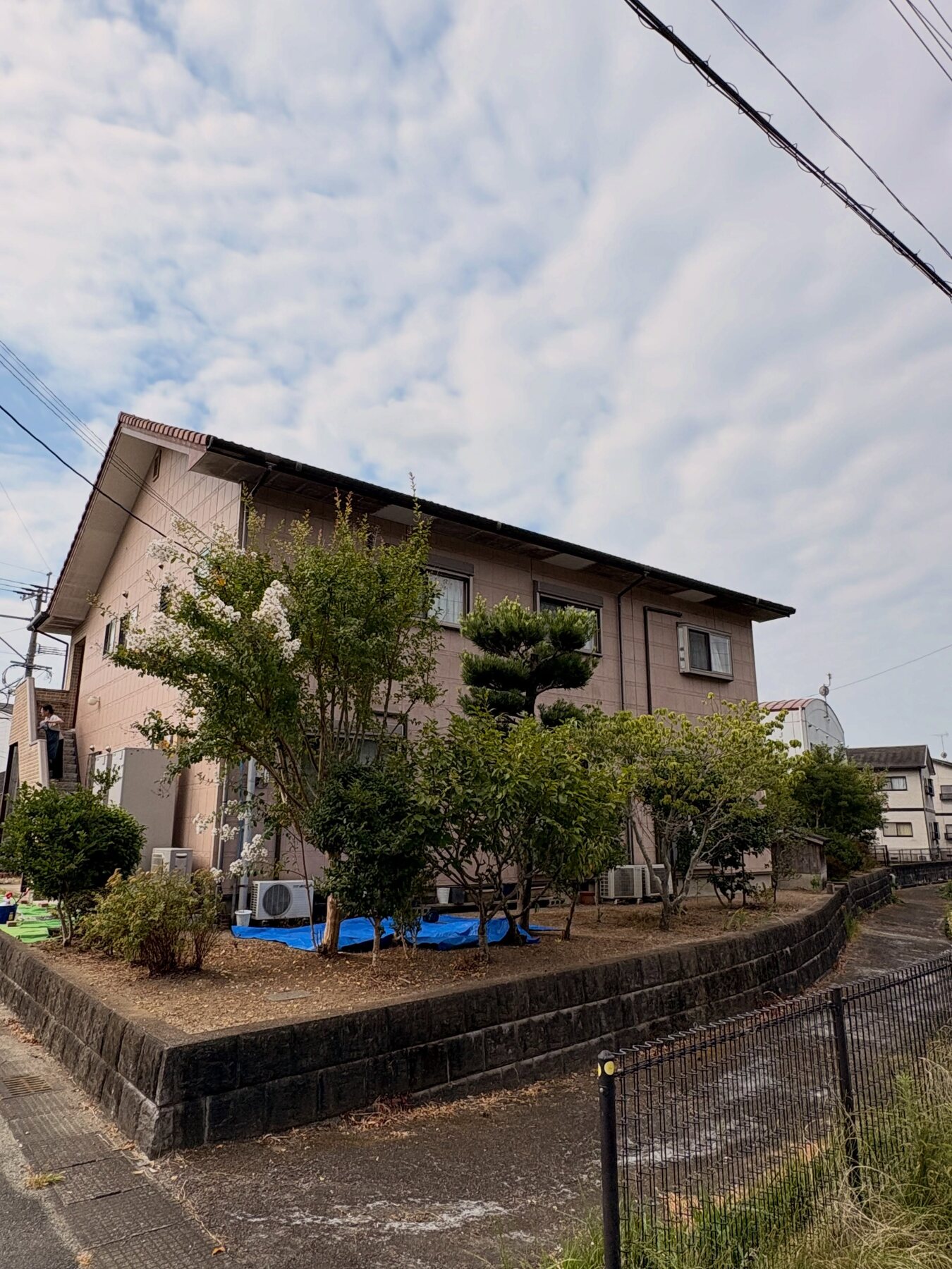 庭木が並ぶ住宅の外観